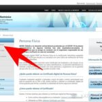 Cómo puedo obtener un certificado de antecedentes penales en República Dominicana