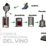Cuál es el proceso de solicitud de residencia por reagrupación familiar en el país
