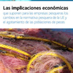 Cuáles son las implicaciones de la migración en Europa