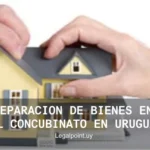 División de bienes en concubinato en República Dominicana