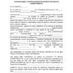 Divorcio por mutuo acuerdo en República Dominicana explicado