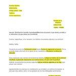 Instancia para solicitar cambio de nombre por el tribunal superior electoral