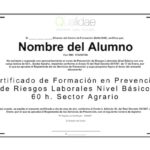 Certificado de nivel basico en blanco