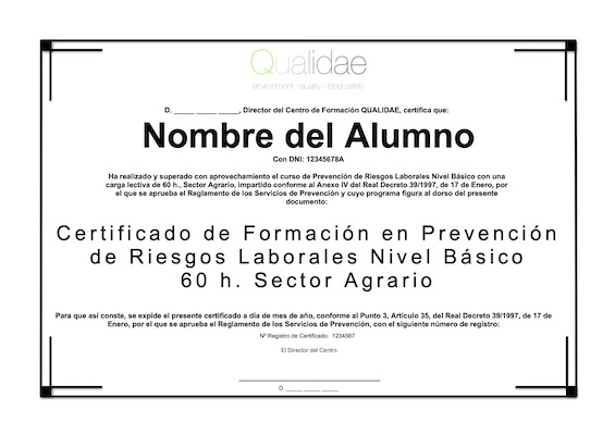 Certificado de nivel basico en blanco - Certificado de nivel