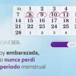 Estoy embarazada puedo seguir mi tramite de residencia