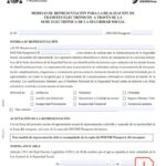 Formato de autorizacion para tramitar pasaporte