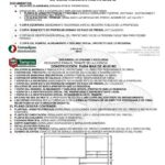 Requisitos para el tramite de solicitud de naturalizacion dominicana ordinaria